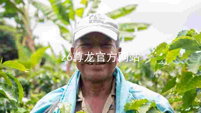 z6尊龙官方网站