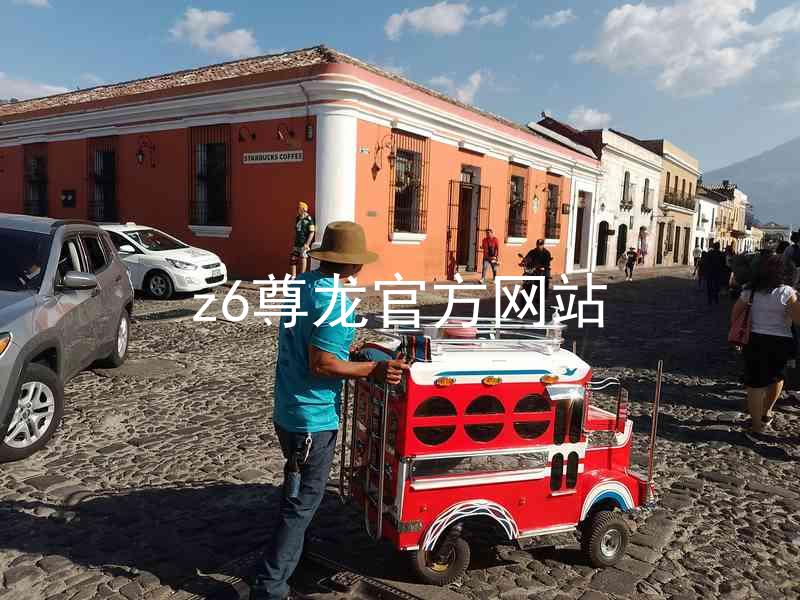 z6尊龙官方网站