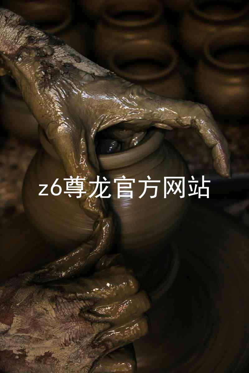 z6尊龙官方网站