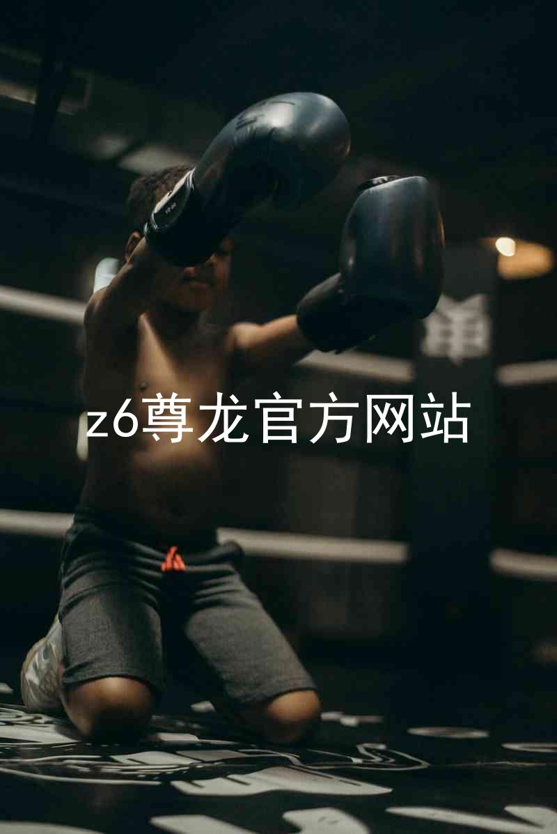 z6尊龙官方网站